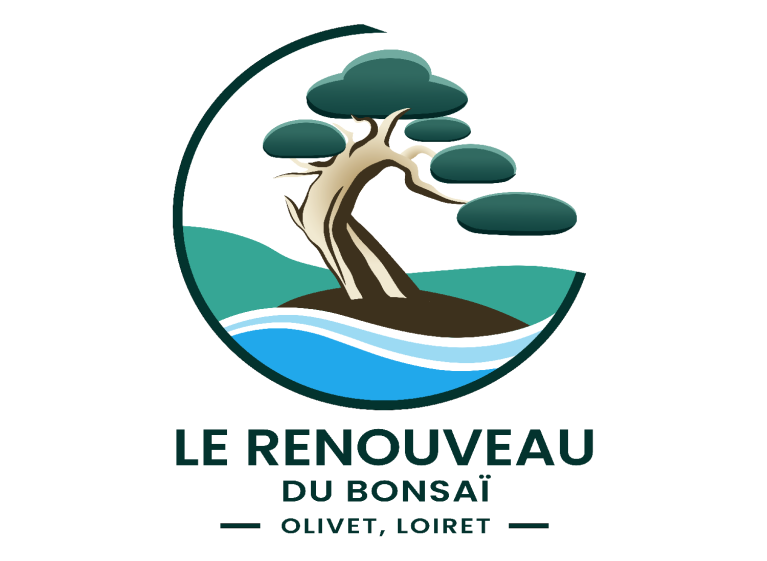 Le Renouveau du Bonsaï : une passion partagée