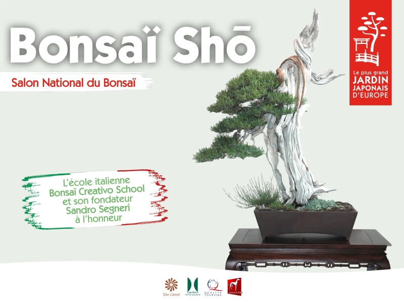 2025-Evenements-banniere-site-internet-Bonsai-Sho