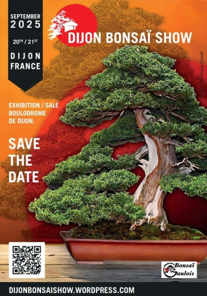 dbs25