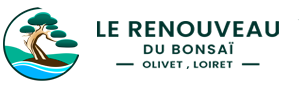 Le Renouveau du Bonsaï