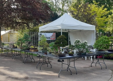 Salon des Arts du Jardin 2025
