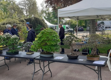 Salon des Arts du Jardin 2025