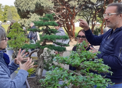 Salon des Arts du Jardin 2025