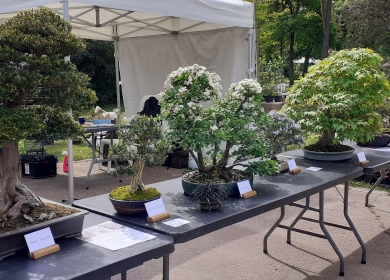 Salon des Arts du Jardin 2025