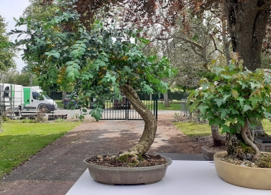 Salon des Arts du Jardin 2025