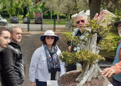 Salon des Arts du Jardin 2025